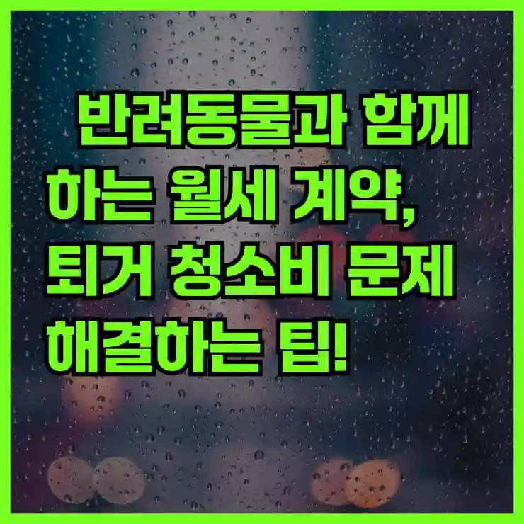 반려동물과 함께하는 월세 계약, 퇴거 청소비 문제 해결하는 팁!