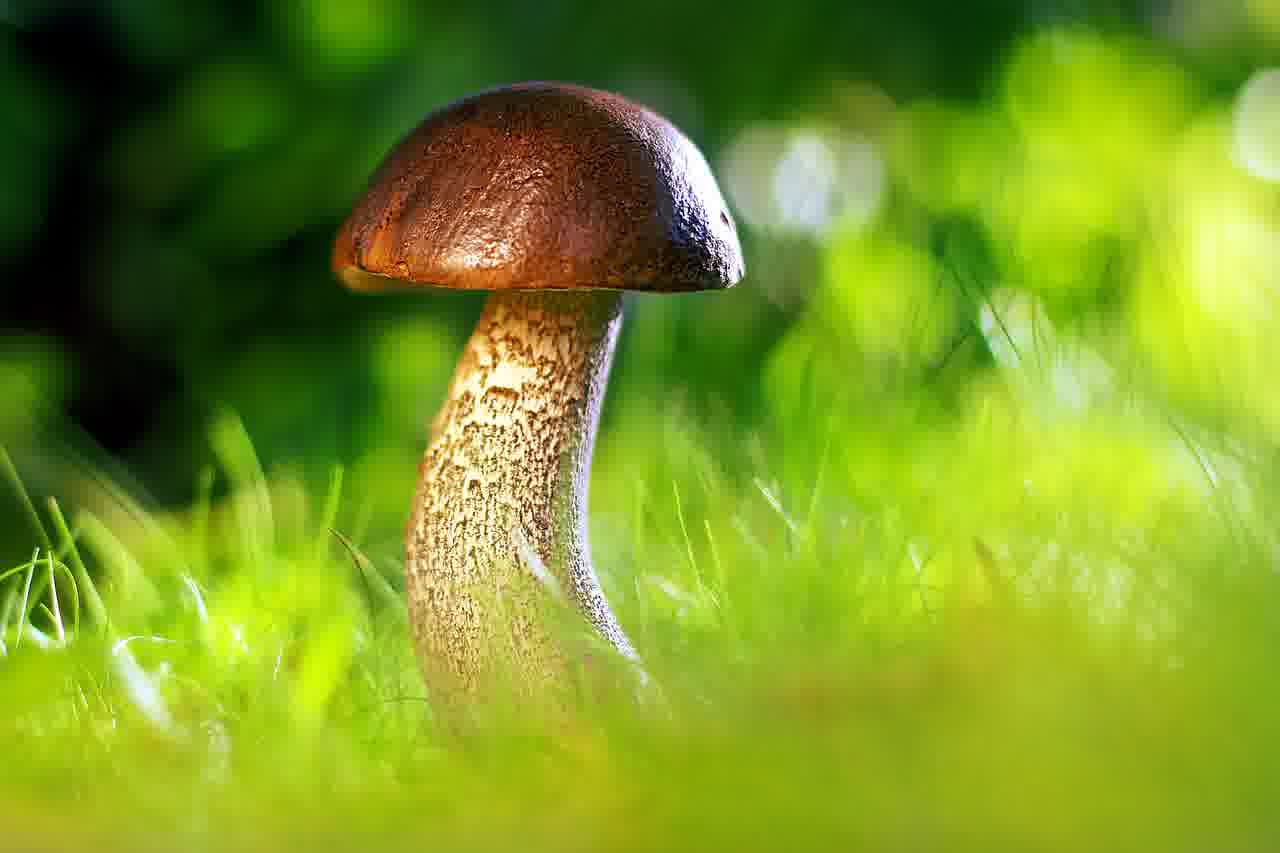주거급여와 보증금 지원 신청 꿀팁 알아보기