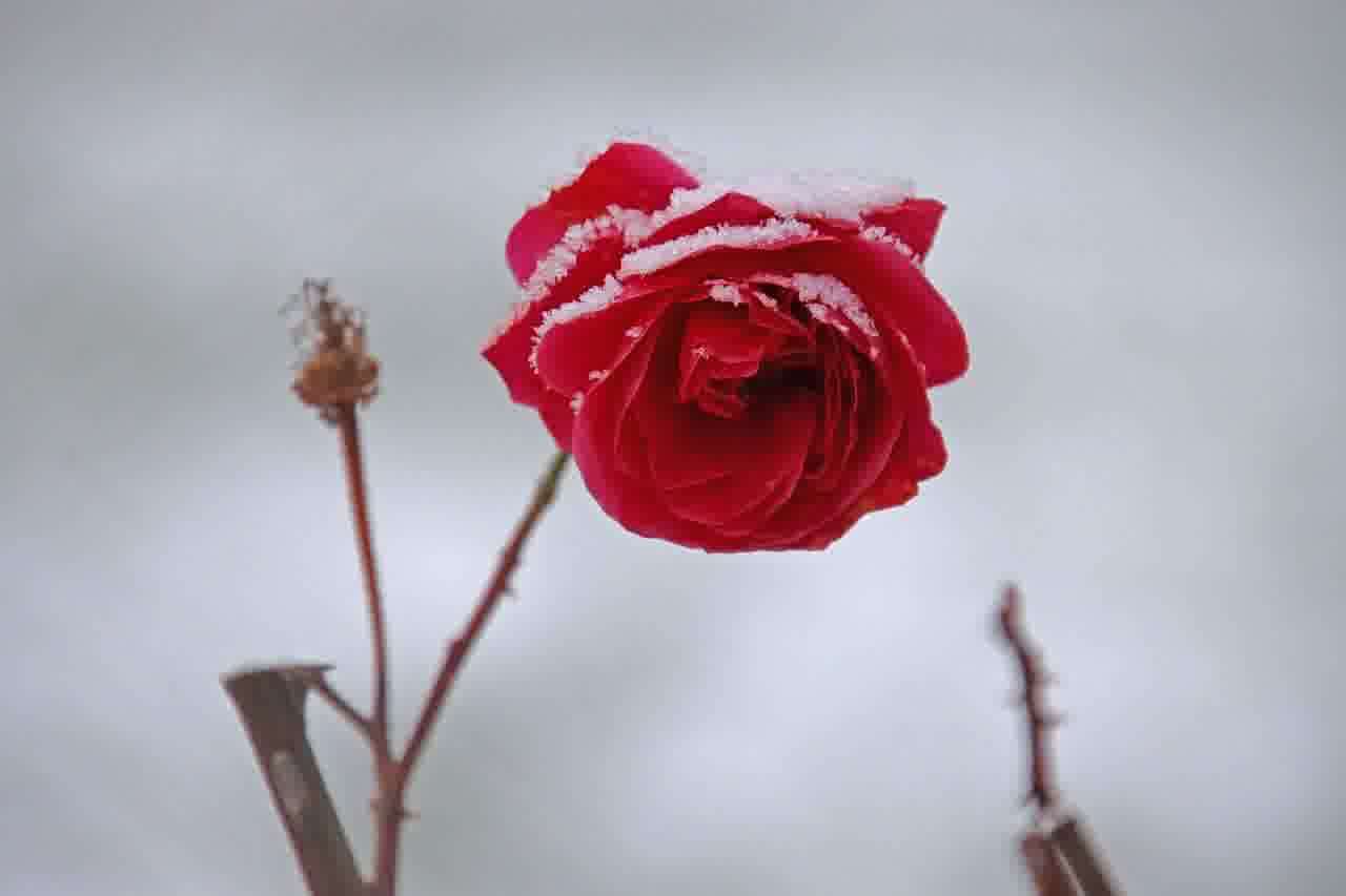 청년저축계좌로 월급 관리 꿀팁 알아보기