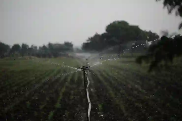 부실채권 상가담보대출의 신용회복신청 승인 가능성