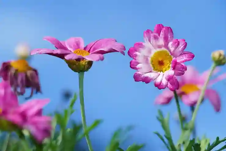 삼성화재 언어발달치료 보험금 지급 시기: 법정 기준은?