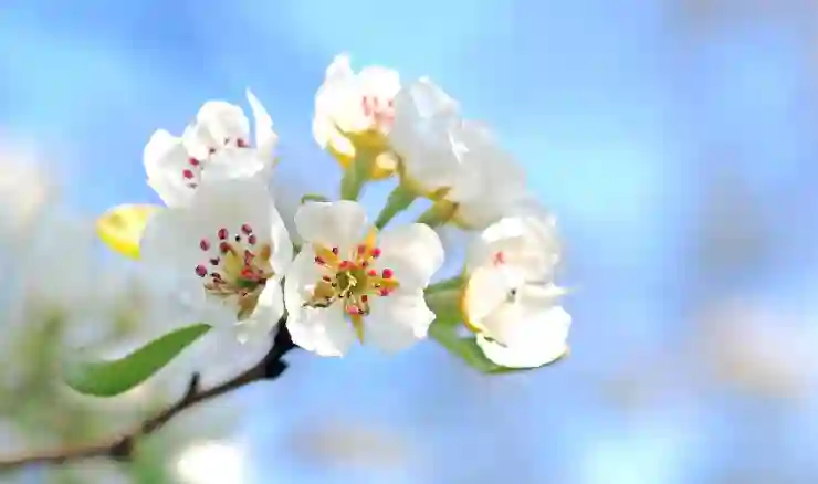 OK저축은행 자동차 담보대출: 직장 확인 유무와 절차