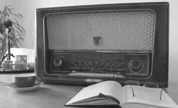 TSLL 주식의 배당금 받는 방법과 이해