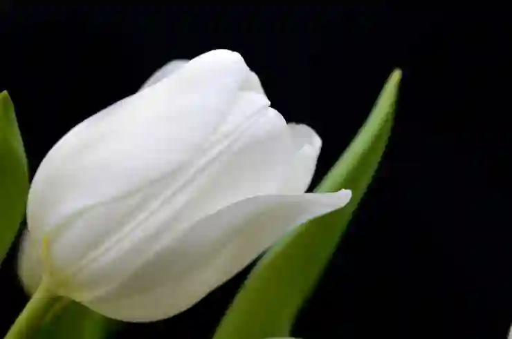 보험금 지급 지연의 실태와 롯데손해보험 사례 분석 및 신속 대처법 알아보기