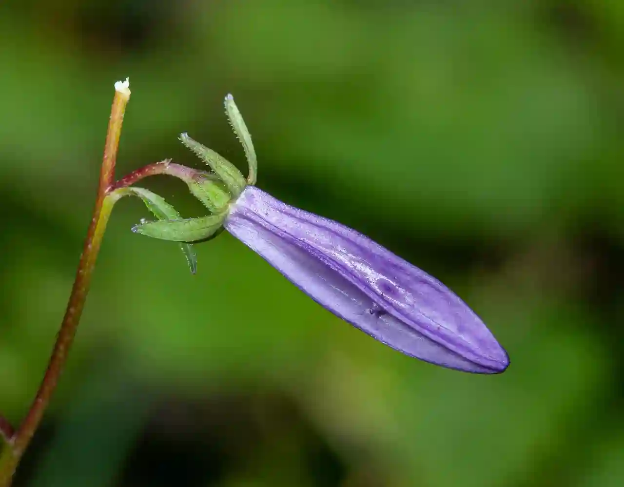 빈집 초인종 사건이 드러낸 프라이버시 침해의 그림자 살펴보기