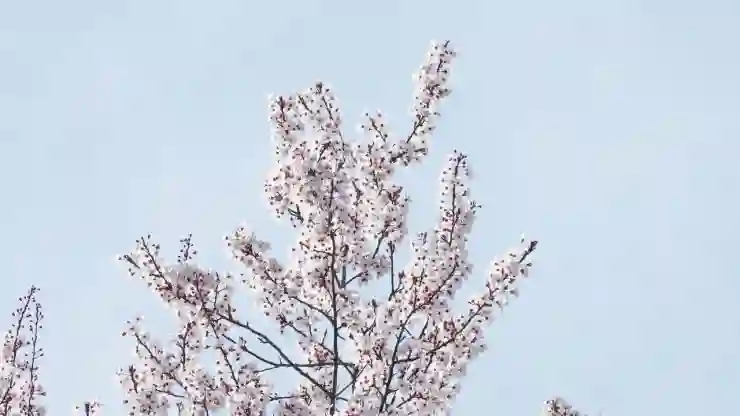 삼성카드 적금 발급 방법과 꿀팁 모두 알아보기!
