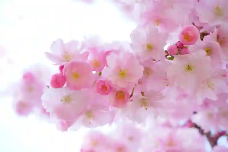 신혼부부 아파트 매매를 위한 주담대와 보금자리론 선택 가이드: 꿀팁과 알아보기