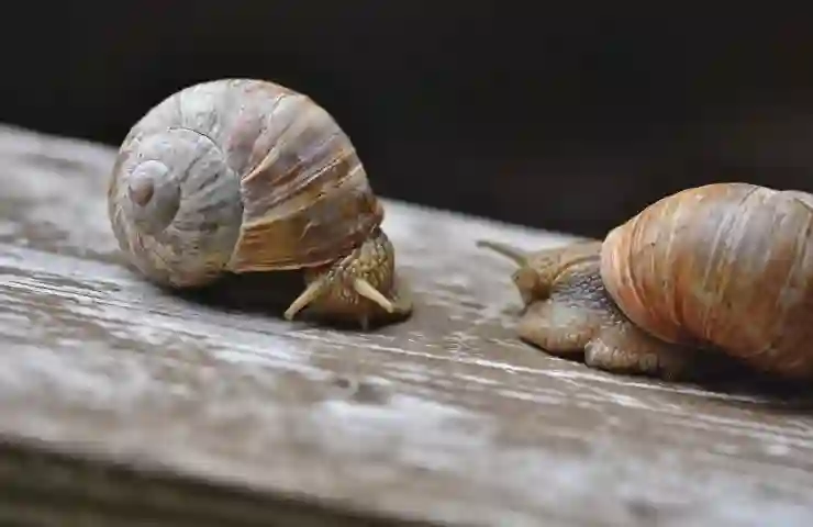 연체 후 신속한 채무조정과 단기연체정보 해제 가능성 알아보기