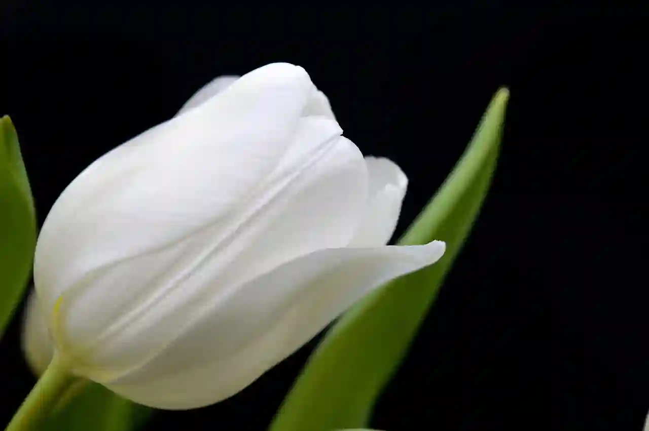 매도된 건물의 전입신고와 확정일자가 주는 교훈 살펴보기
