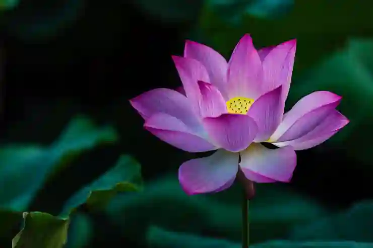 AI 음성 변환의 매력, TTS와 모션어레이의 세계를 탐험하다!