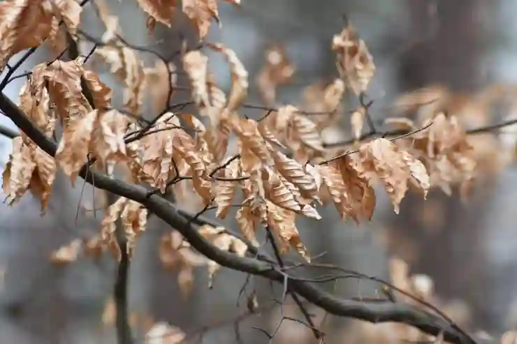 롯데시네마 상영관 종류 4가지 스페셜관 지점 지역
