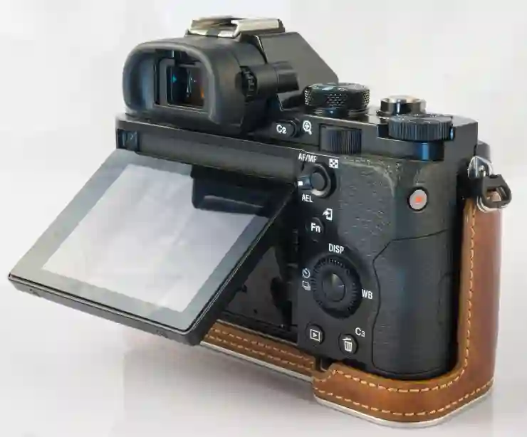 미러리스와 DSLR 카메라의 차이점