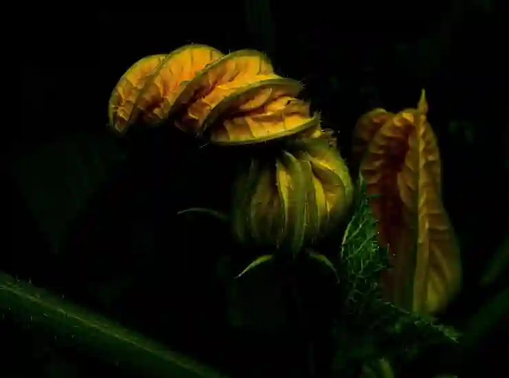 로봇 모발이식 아타스, 장점과 단점을 통해 비용 알아보기