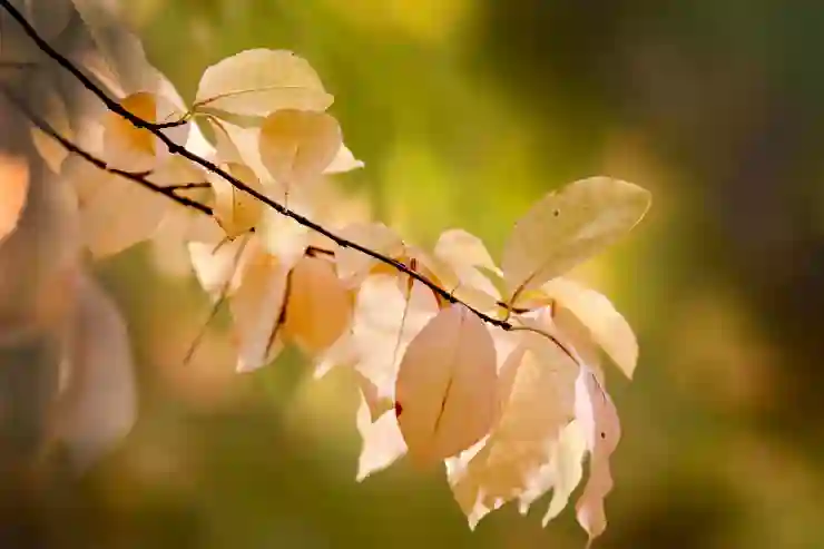 롯데시네마의 특별한 상영관, 영화의 새로운 경험을 찾아서