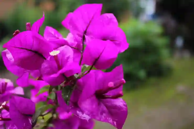 망고보드로 나만의 개성 있는 피피티 만들기 비법 알아보기