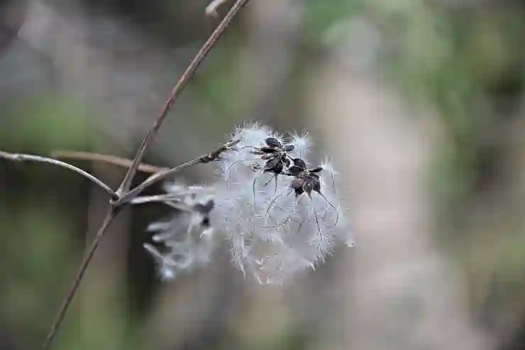 어도비 포토샵과 프리미어 프로 결제 우회하기 위한 숨겨진 방법 알아보기