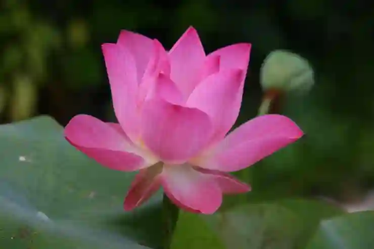 연찬회의 의미와 그 중요성 알아보기