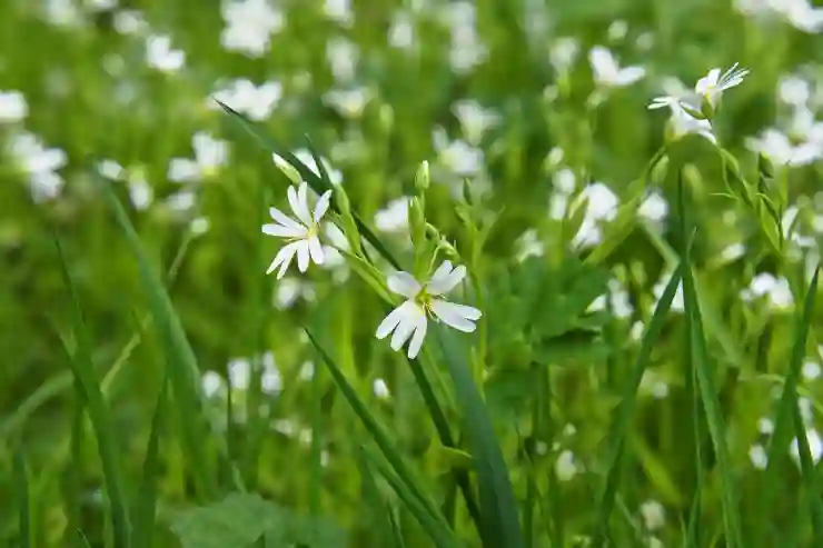 익일특급 우편 서비스의 모든 것 알아보기