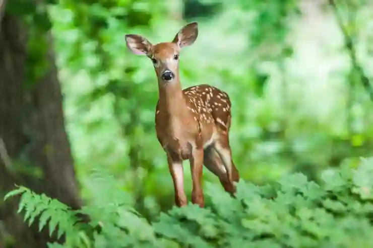 흡입력 좋은 산업용 & 업소용 청소기 추천! 용량도 크고 습식 기능까지!