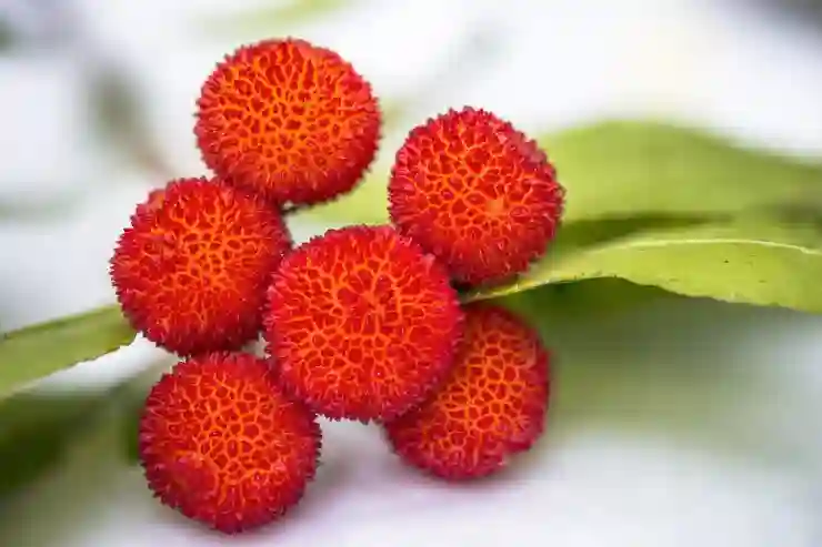 유모바일 알뜰폰 요금제로 통신비 절약하는 스마트한 방법 알아보기