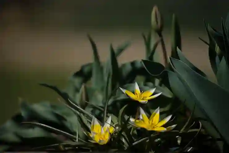 비주얼베이직의 세계: 쉽게 배우고 활용하는 방법 알아보기