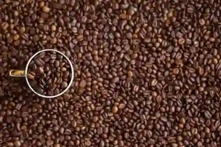 Java 다운로드 및 구버전 설치하는 팁과 요령 알아보기