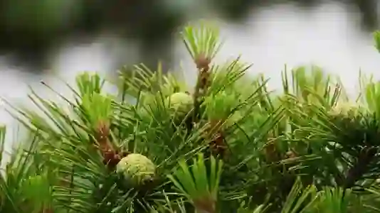 학교 급훈 추천 모음 55가지(센스있는 간지나는 레전드 명언 급훈 예시)