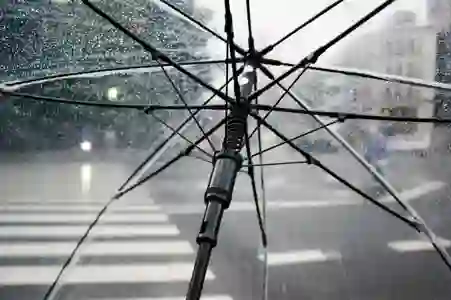 아이디어가 좋고 희귀한 이쁜 우산! 내 손안에서 우주가 펼쳐진다!