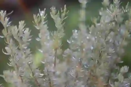 낮은 지연율과 안전성이 강점! 기가 스위치 허브 넷기어 GS808E 개봉기