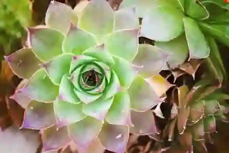 언제나 맛있는 수제 함박스테이크! 구리 여우함박 갔다 와봤어요.
