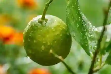 갤럭시노트9, 가격은 제로! 스펙을 살펴보니 혜자 대폭발!