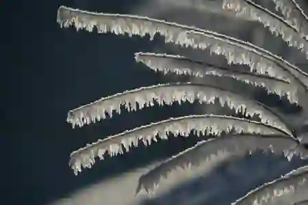 슬림하고 스타일리시한 갤럭시노트9을 위한 슈피겐 리퀴드크리스탈 케이스 탐험하기