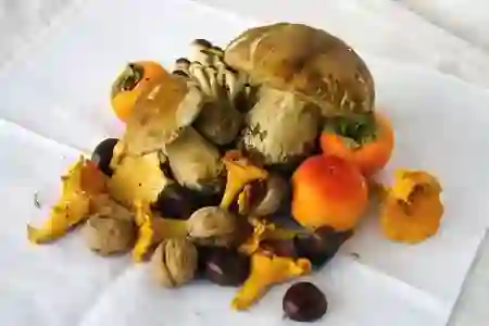 알뜰폰 요금제의 매력 탐구하기