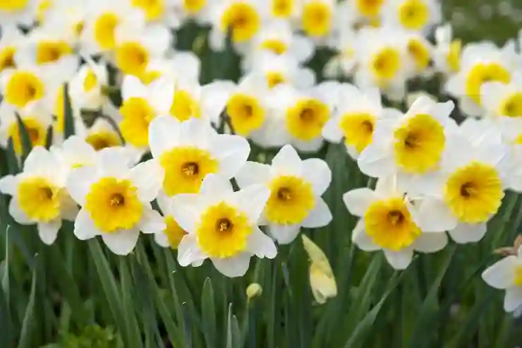 윈도우10 암호 해제 및 변경, 보안 강화하는 법 알아보기