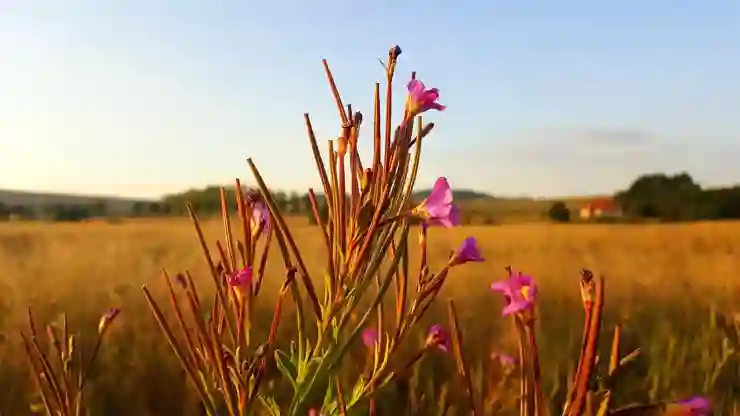 로보락 S6, 소음 걱정 없는 스마트 청소기의 모든 것!