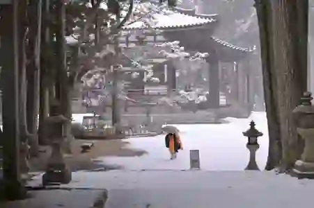 우주를 담은 특별한 우산, 당신의 손안에서 펼쳐지는 별빛 여행