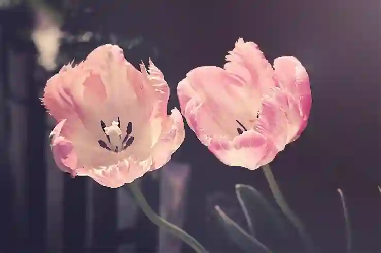 아이코닉 쉐이버 S8860/61로 경험하는 면도의 혁신과 사용 팁