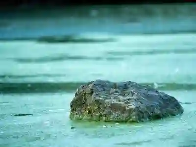 15인치 삼성 갤럭시북4 노트북 추천 이유 알아보자