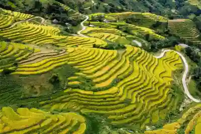 가벼운 게이밍 레이저 무선마우스 바이퍼 V3 PRO 알아보자