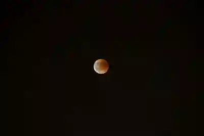 갤럭시 Z폴드7 자급제 사전예약 혜택 살펴보기