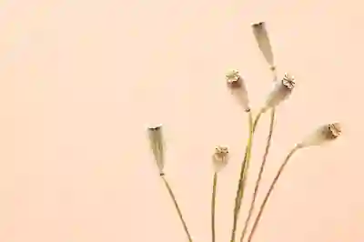 브라더 HL-L3210CW로 가정용 컬러 레이저프린터 활용하기 꿀팁