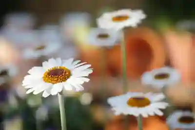 누수 탐지 방법과 장비 종류 알아보자