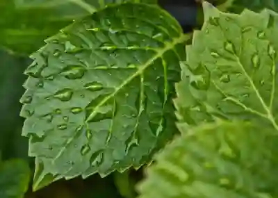 무료 PPT 템플릿 모음 사이트 살펴보기