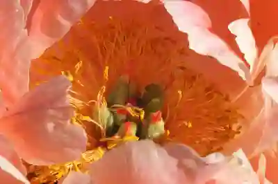 엑솔라와 반다이의 파트너십으로 게임 산업의 미래를 살펴보자