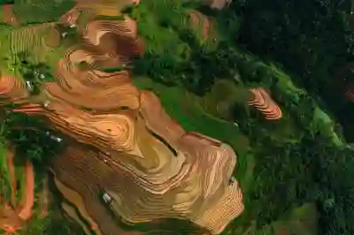 야외에서 펜더 뉴포트 블루투스 스피커로 음악 즐기는 방법 알아보자