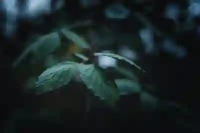 추운 겨울을 따뜻하게 해주는 차량용 전기담요 추천