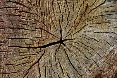 유플러스 멤버십 개편 내용 알아보자