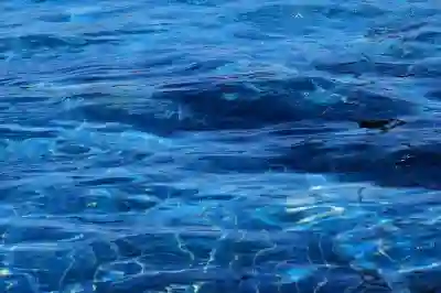 LG 광파오븐 500% 활용하는 꿀팁 알아보자