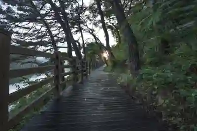 유플러스 유독 아직도 안 하시나요? whynot 정신의 산물!