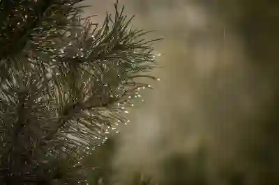 사진으로 동영상 만들기 가능할까? 망고보드 템플릿 하나면 끝!